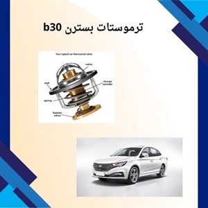 ترموستات بسترن b30 چیست و چرا اهمیت دارد؟
