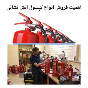 بررسی ضرورت فروش کپسول آتش نشانی